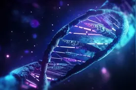 DNA亲子鉴定：科学、应用与伦理图片