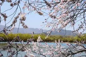 今天农历三月十五，你知道是什么日子吗？老祖宗的谚语怎么说图片