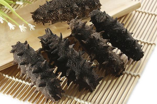 什么样的海参好 2026年什么样的海参好吃又有营养价值