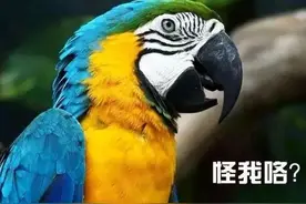 12个趣味冷知识，源于生活又高于生活，调剂生活又服务生活图片