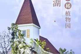 千岛湖畔又一处“绿野仙踪”，正在开放中图片