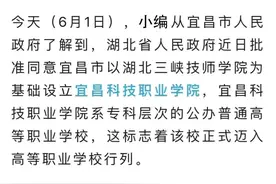 最新！湖北又新增一所高校图片