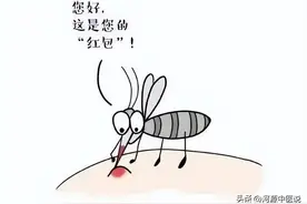 被蚊虫叮咬后发炎红肿过敏，别慌，医生告诉你有效处理方法图片