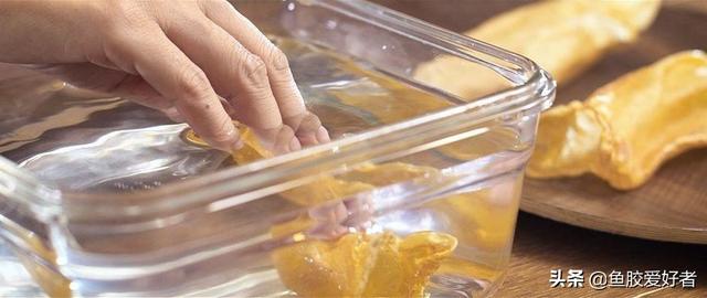 花胶泡一晚还是硬硬的 2026年花胶泡了几天还很硬怎么办呢