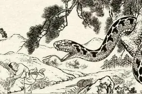 聊斋故事：男子帮蟒蛇渡劫，蟒蛇半夜托梦，三更时，要躲在床底下图片