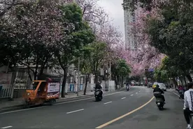 记第一次普通胃镜图片