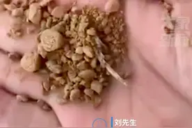狗主人买廉价狗粮竟掺土和锯末，拍摄者：69.9元买了20斤，狗吃了一个月，最后吐血死亡图片