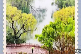 清明节 怀念母亲图片