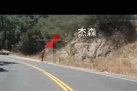 海王杰森莫玛周日发生车祸幸好人没事图片