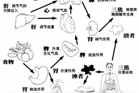 人体是何其精妙的小宇宙！图片
