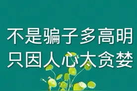 不是骗子多高明，只因人心太贪婪图片