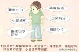 两味中药就能把阳气补上来图片