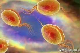 男性生殖系统可能感染的疾病图片