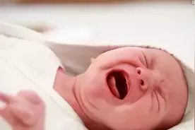 为什么人类的幼崽这么能哭？不怕引来天敌吗？图片