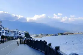 我的美女邻居（56）图片