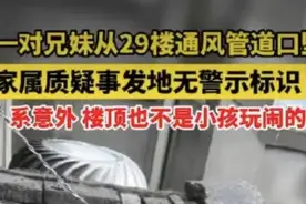 两儿童从29楼坠入地下室身亡，父母崩溃到精神恍惚，物业：是意外图片