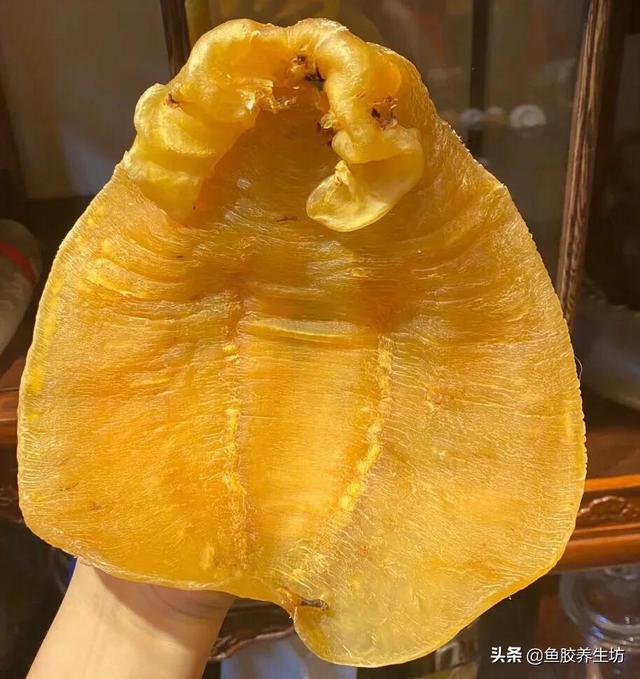 越南巴沙鱼胶多少钱一斤 2026年越南巴沙鱼鱼胶好不好
