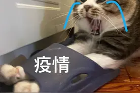 “医生！为啥我家猫嘴里会得脚气啊！？”图片