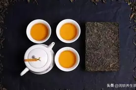 安化黑茶的功能成分与开发利用图片