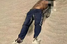 惨烈！贸然进罗布泊4人遇难，没带卫星电话，罗布泊有哪些危险？图片