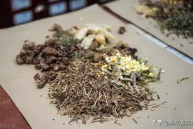 大学专业详解系列236——中医学（医学学士）图片