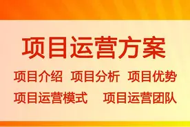 商业计划书代写图片