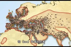 铊中毒有哪些危害？图片