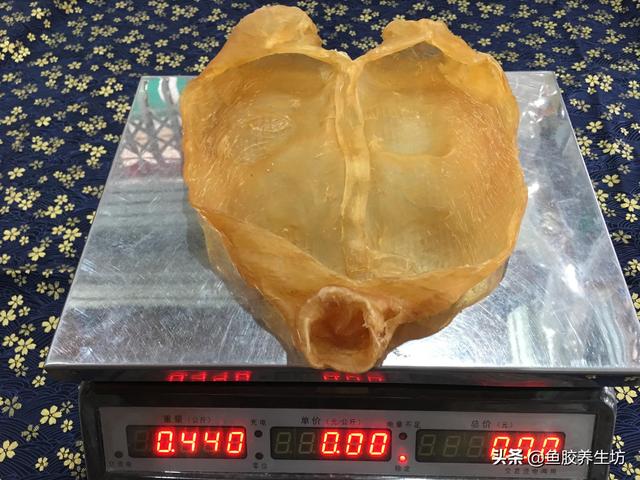 越南巴沙鱼胶 2026年越南巴沙鱼鱼胶好不好