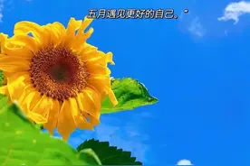 治愈系图片文案 风景图片配文字图片