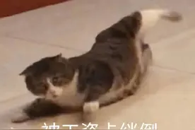 工作四天后老板同意离职，却拒发这四天的工资，应该怎么办？图片