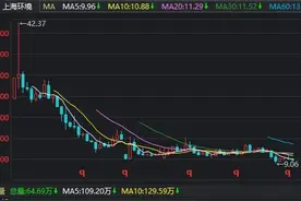 上海环境，国内垃圾焚烧发电的龙头企业，股价跌成狗，遭遇了什么图片