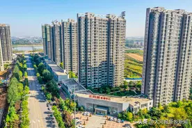新乡市牧野区——使命在肩勇奋斗 践行嘱托谱新篇图片
