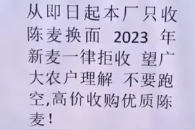 河南一面粉厂拒收新麦？官方通报：系个体加工兑换点，有指定收购单位，会对受损小麦应收尽收图片