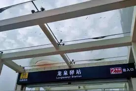 成都打卡新地标—东安湖图片