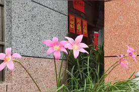 坐月子没要人照顾，你会觉得傻吗？图片
