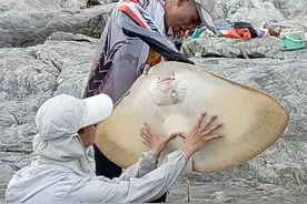 浅谈矶钓，个人最爱的一种钓法图片