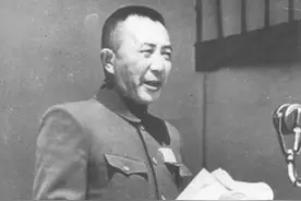 林总评价老部下罗瑞卿：他很有领导和组织能力！推荐他担任总长图片