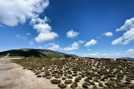 看懂《庄子》这三点，才算get到这本典籍的精华图片