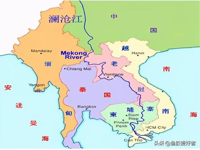 顺风斗湖鱼胶产地是哪里 2026年顺风斗湖胶好不好