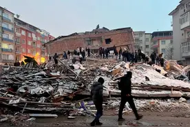 为什么说“狗中哈士奇，国中土耳其”？图片