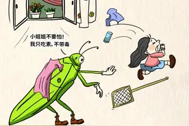 漫画新闻 | 动物们：我们可是无辜的图片