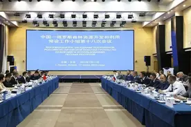 凌激副部长与俄罗斯工贸部副部长博恰罗夫共同主持召开中俄森林资源开发和利用常设工作小组第十八次会议图片