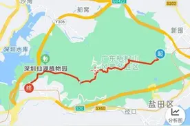 半雨半晴梧桐山图片