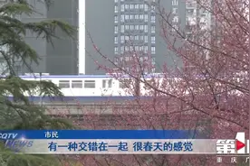 金童路梅林也能打卡 重庆“开往春天的列车”图片