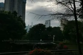 金刚功打卡第三天图片