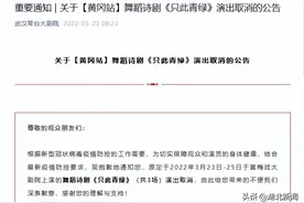 舞蹈诗剧《只此青绿》黄冈站演出取消！武汉站暂不受影响图片