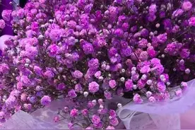 有一种爱，看不到结局，还是习惯了等待图片