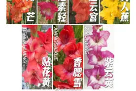 国际市场通行证，到手！图片