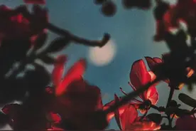 泰语知识｜|泰语同义词、近义词词汇（二）图片