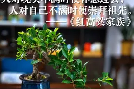 人对现实不满时便怀念过去，人对自己不满时便崇拜祖先。图片